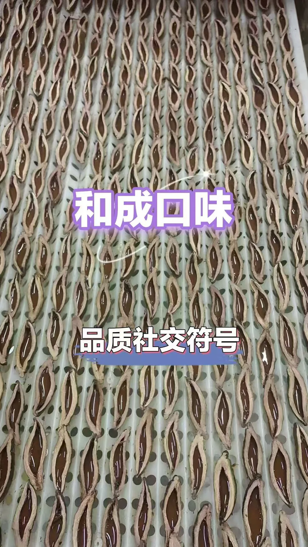 和成天下
