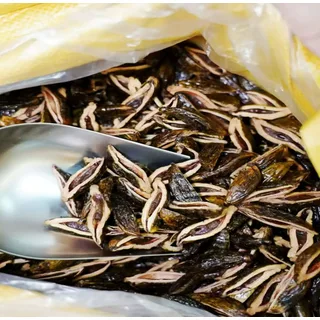 葡萄味号籽
